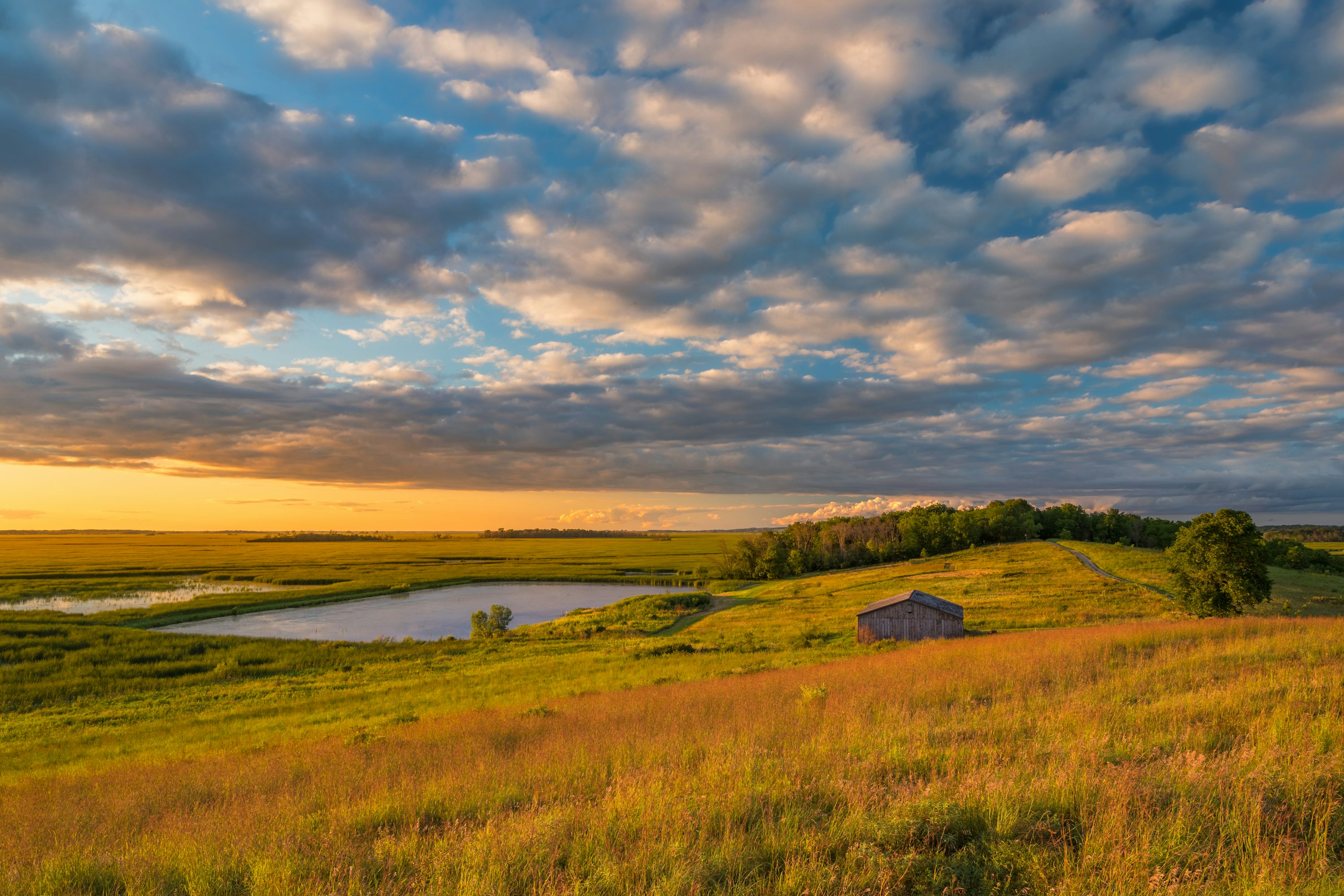 prairie