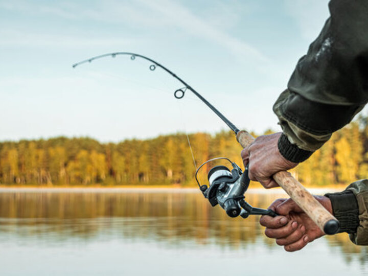 fishing