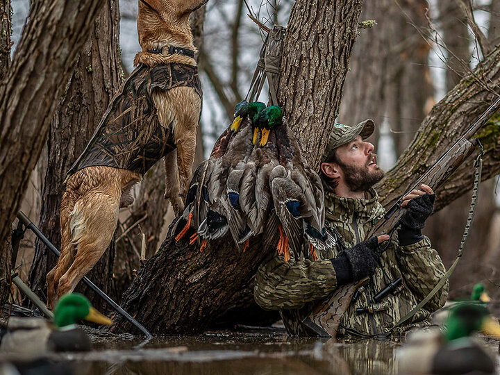 waterfowl hunting