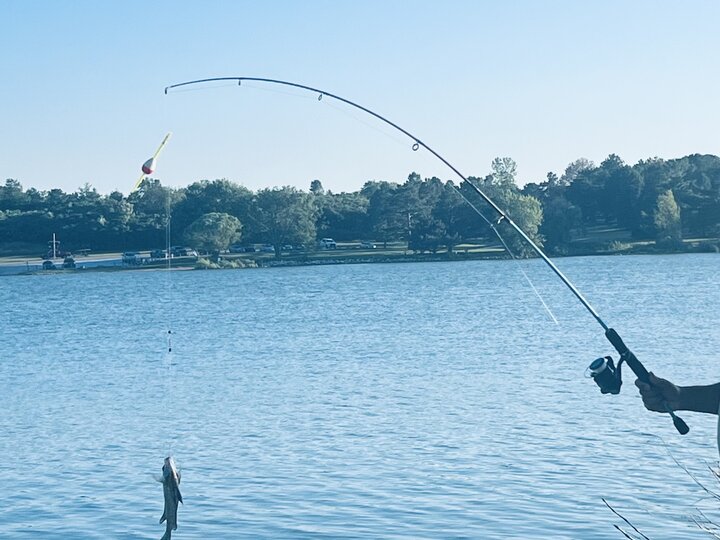 fishing