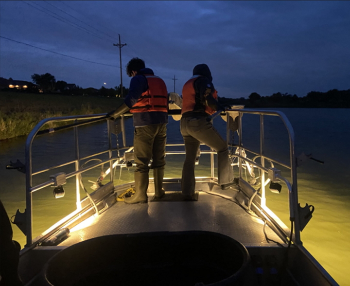 electrofishing